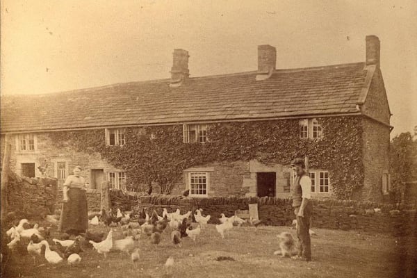 Moray Farm Old Brampton